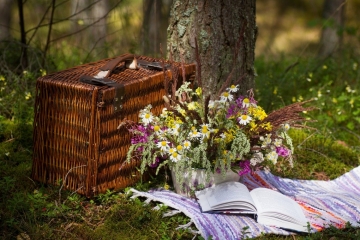 Picknick in de boomgaard